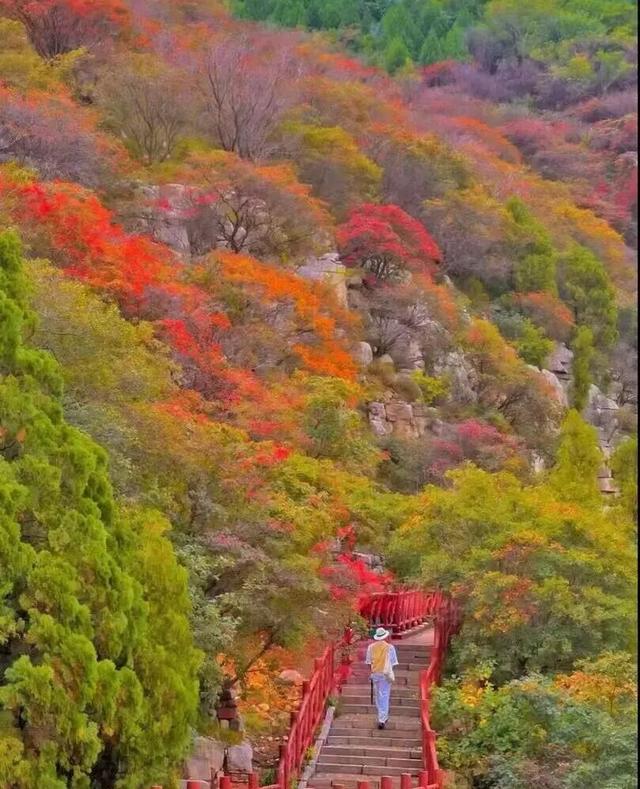 最新实拍！潍坊这里迎来“全红时刻”！