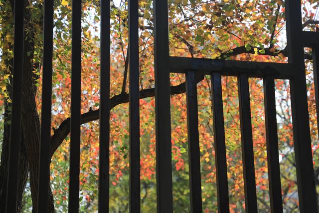 到柳东龙湖，走进一季的“黄橙红绿”→