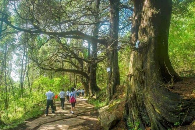 千年时光里的守望与传承