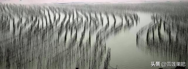 水墨国画，诗意霞浦