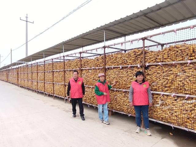 “舒平”携手“赵大姐”:为了那片深爱着的土地