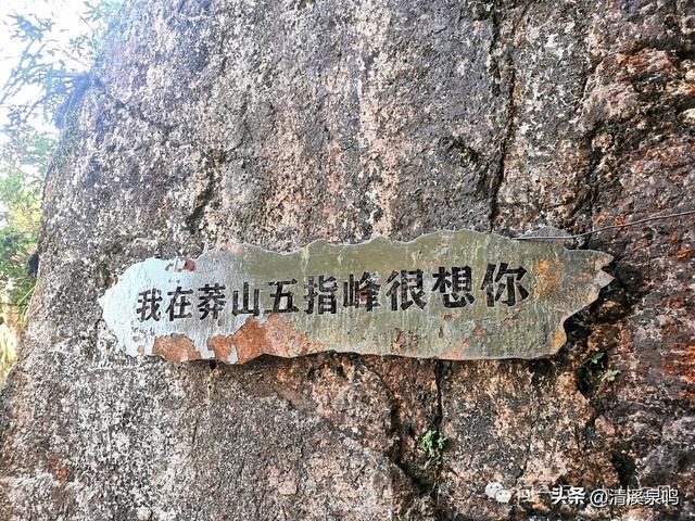 云端之旅——莽山五指峰游记