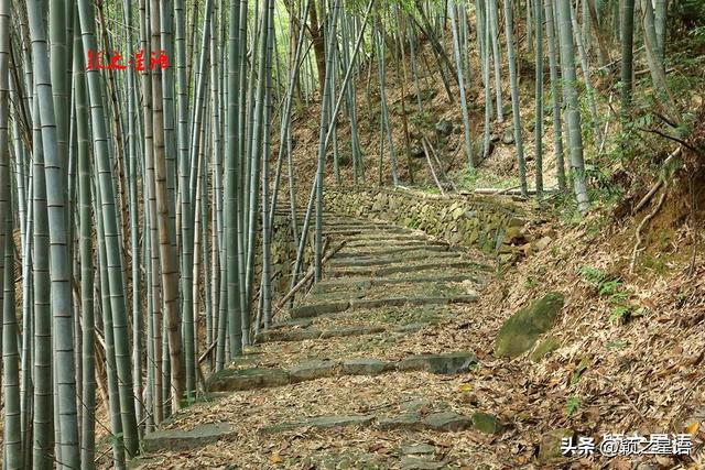 柘岭爱中古道，距离城区非常近，走过还想走