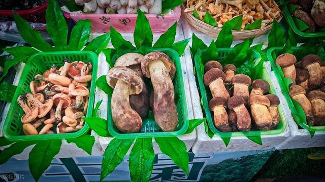堪称云南最大的野生菌美食街，一年只卖一月，有全国人专程来吃