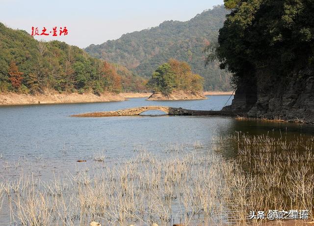 古桥、古村，银杏黄、芦苇荡，宁波城郊居然有这么美的赏秋地