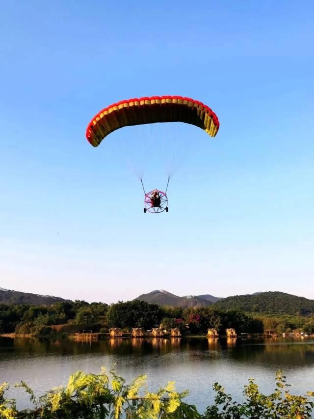 免票、打折……肇庆超多福利来袭！速看→