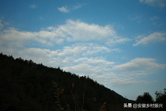 贵州人民吃这么好！！