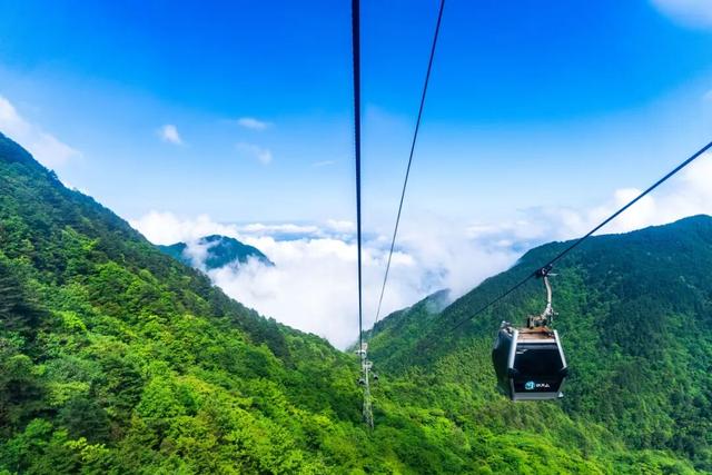 双十一不止买买买！明月山邀你开启天然氧吧之旅