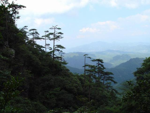 《草根春秋》系列 旅游篇 七 走马观花济南市