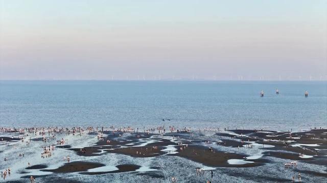 体荟四季｜冲浪、赶海、骑行...江浙沪这些 “动感海岸线”激活你的整个夏天