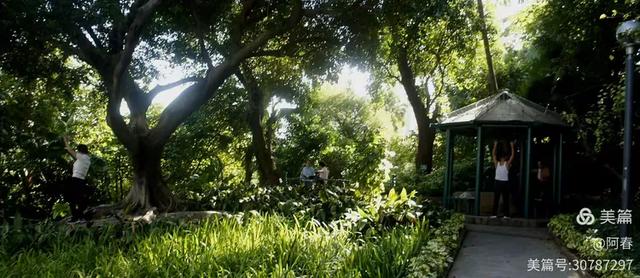 澳门白鸽巢公园