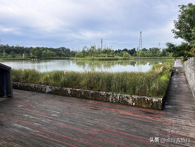 成都最近的原野公园，超级惊艳，一个湖风景就是王者，公交直达！