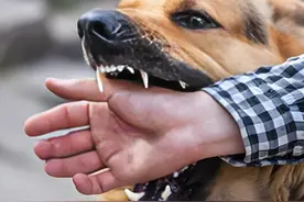 河北小伙狂犬病发作离世，曾接种5针疫苗，为何还是未能幸免？图片