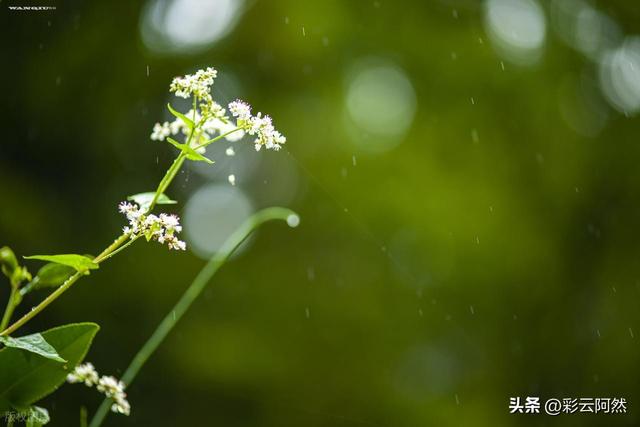 大范围冷空气来袭！多地降温超10℃，明日9月16~17号强降水将展开