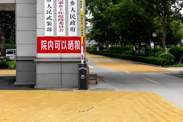 公路晒粮食图鉴！石头拦钉板放碎玻璃片！“死神来了”在乡村重演