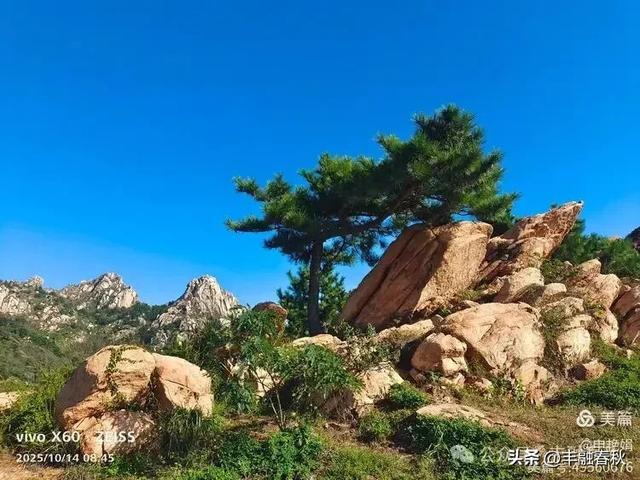 浮山漫记：藏在青岛城央的自然诗篇｜申艳娟