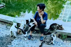 18年救助流浪猫近千只！冰城蔡大姐的猫咪情缘图片