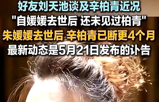 爱妻朱媛媛离世五月后，辛柏青再传来噩讯，原来他仍未走出悲伤