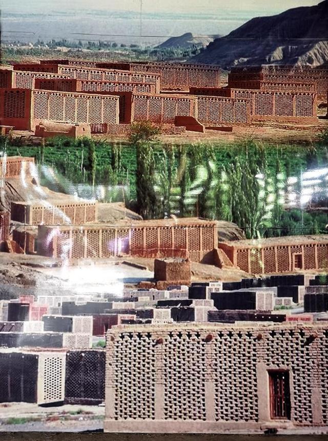 游新疆吐鲁番的坎儿井和葡萄沟