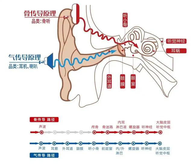 苹果入局同传耳机，国产厂商们慌不慌？