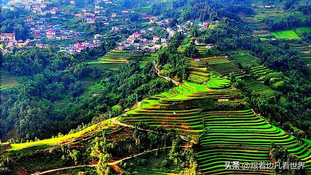 《西双版纳 澜沧行》左都佤山梯田云雾：天地间的水墨长卷