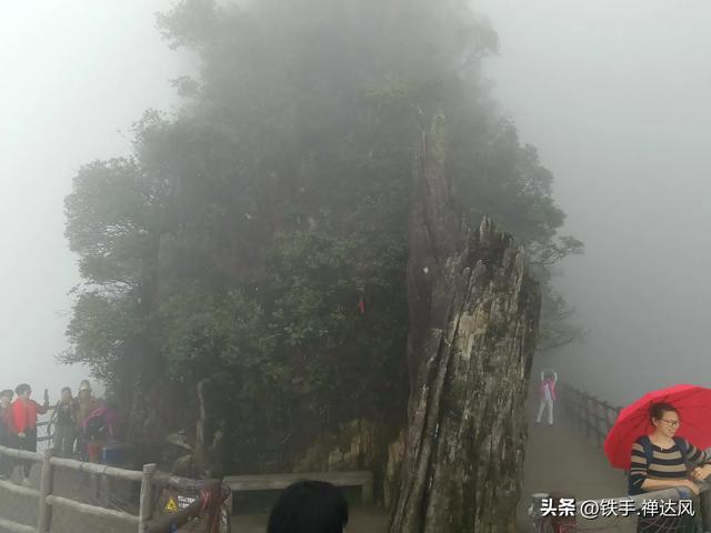 2025湖南行：仙气飘飘～莽山五指峰