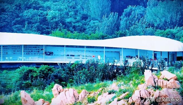 新年第一站——泰安！给自己的2026年酷酷开个场~