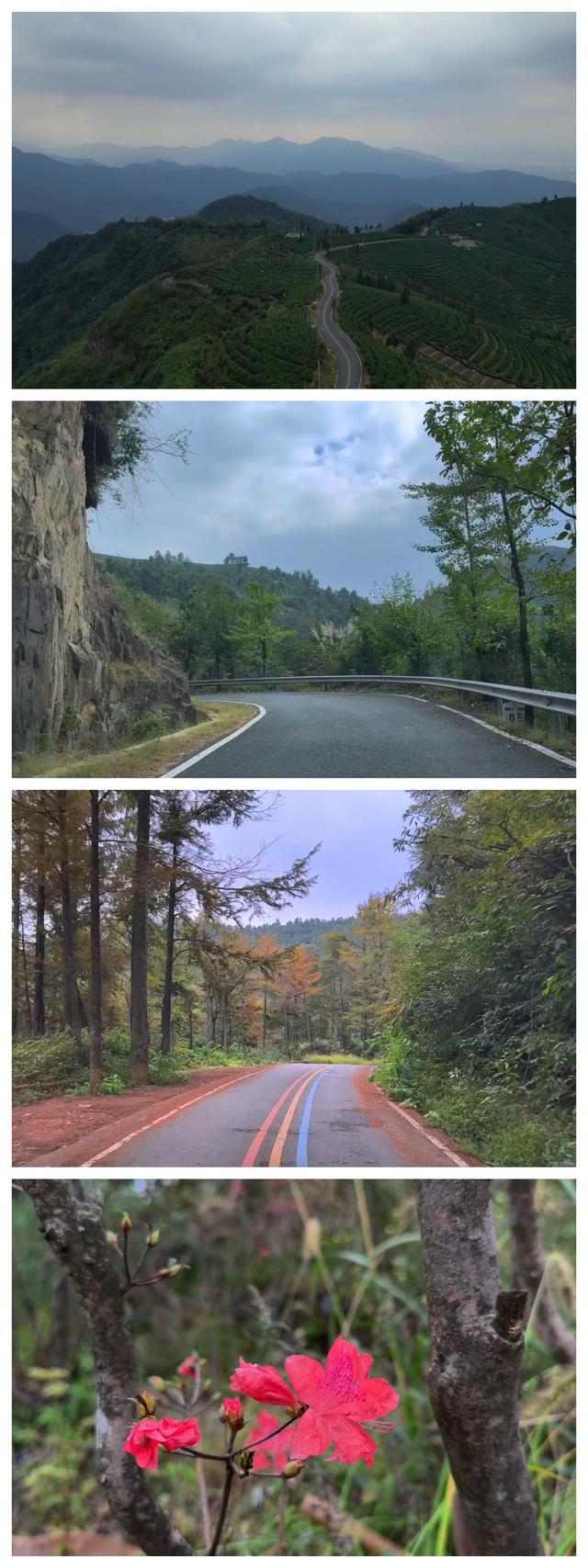 19公里，串起2个：最佳山顶观景台