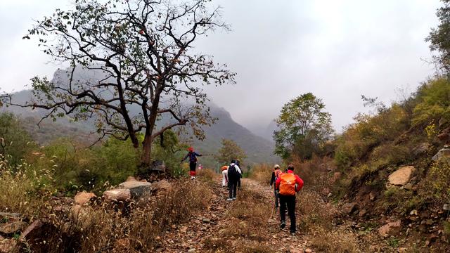 雾锁风挡山，红叶引客来