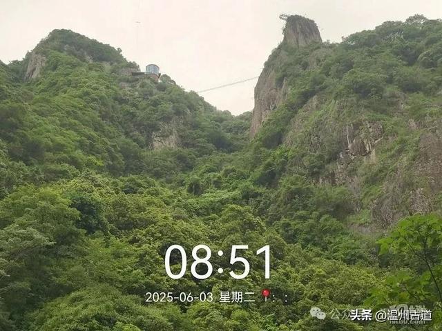 温州这个亲子游玩胜地、植物自然课堂孩子玩嗨家长不累