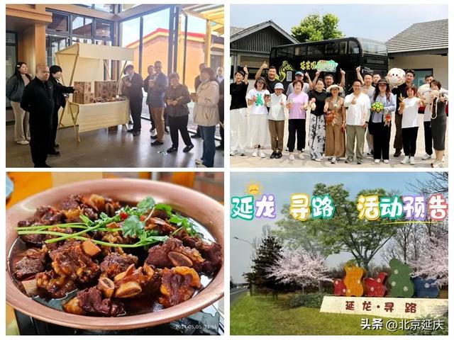 藏不住了,延庆这一路好看极了!