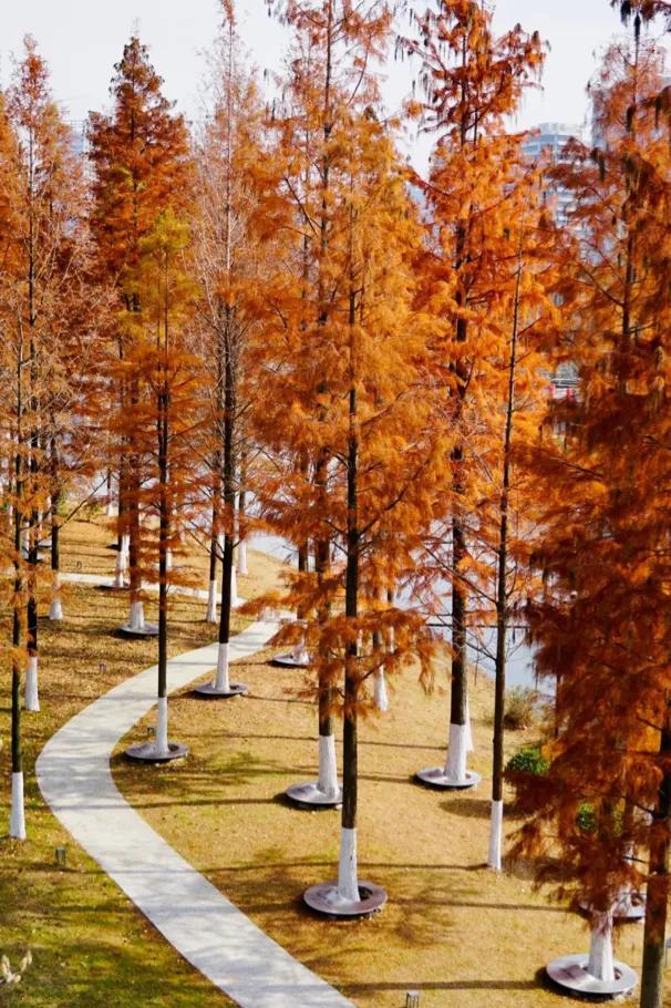 我是成都人，在江苏南京待了几天，憋不住想讲南京的独特印象。