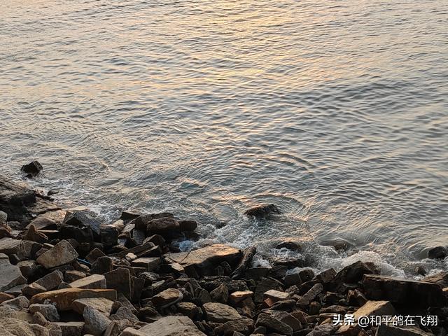 厦门海滨的落日之梦