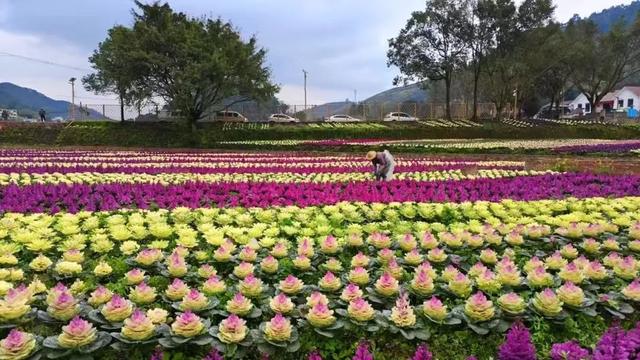 「宜宾必去的100个地方」新榜单出炉！火热报名中！