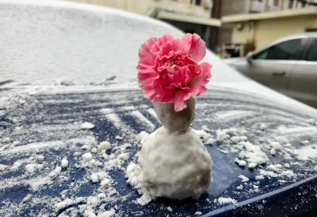 北京通州最新雪景实拍,美图送上~