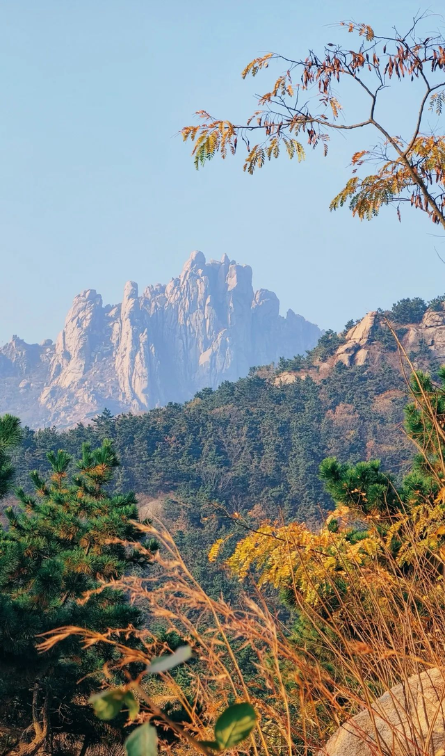 山景正宜人！青岛这里的山，已美到Next level