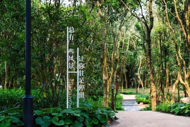 珠海5000年沙丘遗址秘境，免费开放！