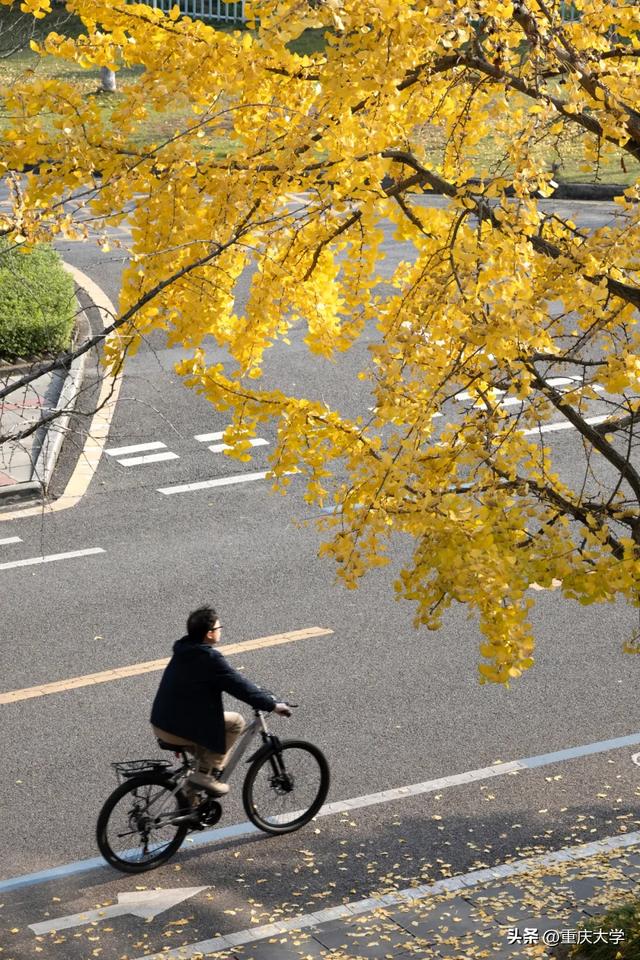 重大限定皮肤上新,超出片!🤳