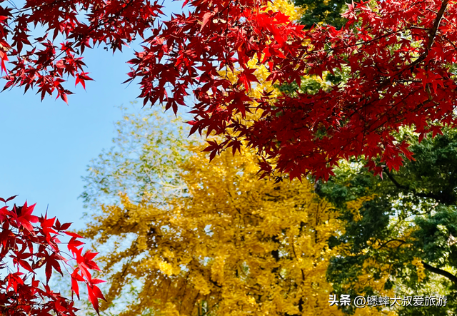 这个浙江“古园林”不简单，有着两段千年情劫，猜猜谁是渣男？