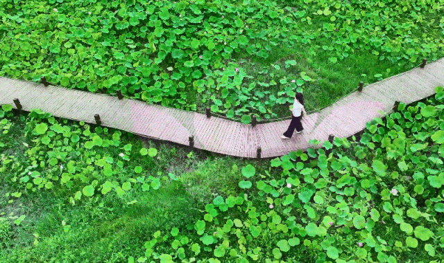 热得遭不住了？汉中喊你来“耍水”