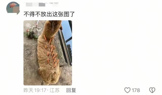 笑不活了 国庆假期结束 动物园里的动物成了第一批“受害者”