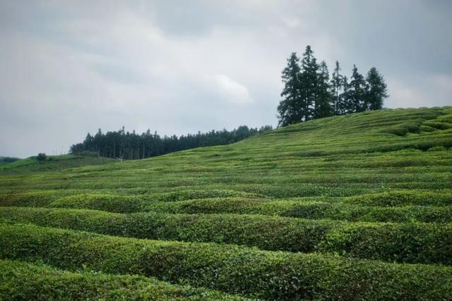 永远去不腻的目的地，她能排在前三名