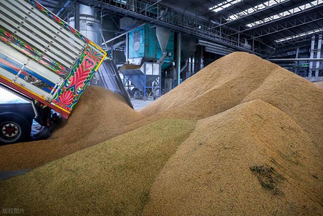 中方为何采购50万吨泰国大米