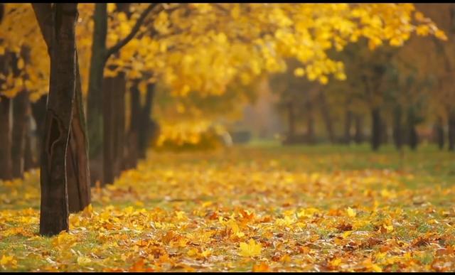 与人交谈的智慧，这三句话永远不要对熟人熟事