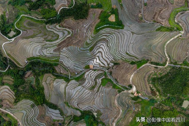 海南五指山：夏日牙胡梯田