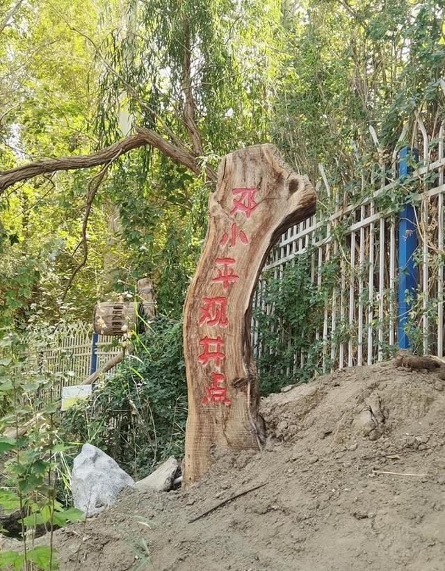 游新疆吐鲁番的坎儿井和葡萄沟