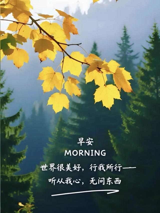 当你笑着去努力的时候，全世界都会给你让步