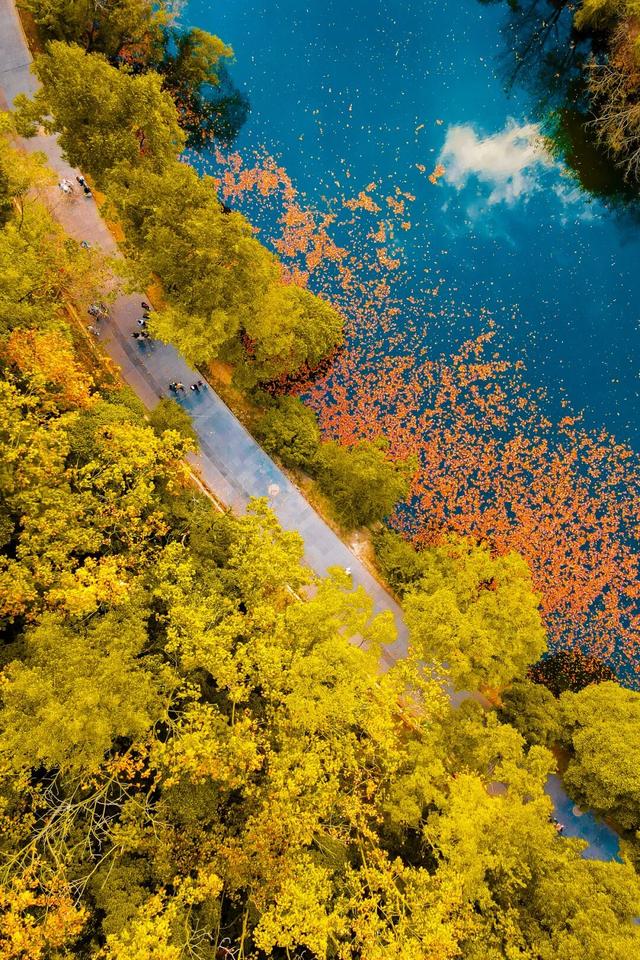 跟着《一路繁花2》打卡花溪~复刻姐姐们同款秋冬美景！