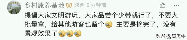 陕西彬州柿子火出圈，啥啥都免费，结果网友们不乐意了