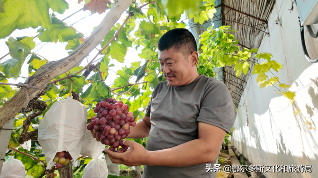 这就是杭锦旗“非来不可”的理由！